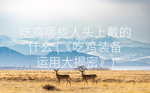 吃鸡哪些人头上戴的什么 (《吃鸡装备运用大揭密》)