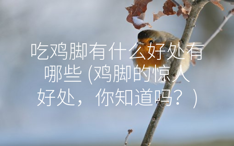 吃鸡脚有什么好处有哪些 (鸡脚的惊人好处，你知道吗？)