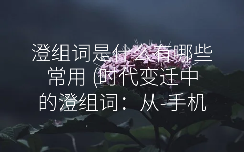 澄组词是什么有哪些常用 (时代变迁中的澄组词：从-手机”到-共享单车”)