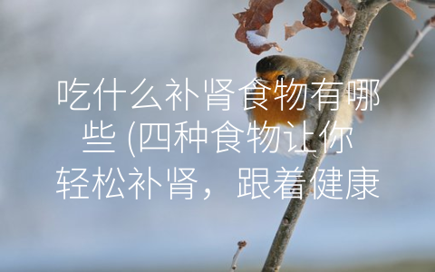 吃什么补肾食物有哪些 (四种食物让你轻松补肾，跟着健康饮食路线走起！)