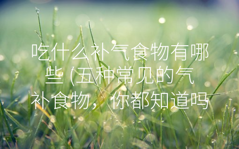 吃什么补气食物有哪些 (五种常见的气补食物，你都知道吗？)