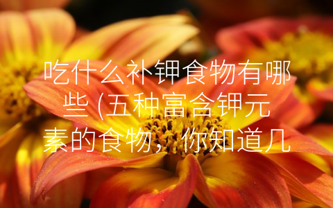 吃什么补钾食物有哪些 (五种富含钾元素的食物，你知道几个？)