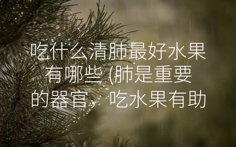 吃什么清肺最好水果有哪些 (肺是重要的器官，吃水果有助于清肺)