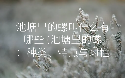 池塘里的螺叫什么有哪些 (池塘里的螺：种类、特点与习性)