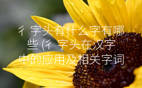 彳字头有什么字有哪些 (彳字头在汉字中的应用及相关字词解析)