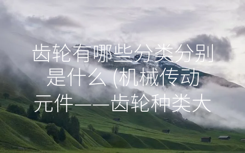 齿轮有哪些分类分别是什么 (机械传动元件——齿轮种类大盘点)