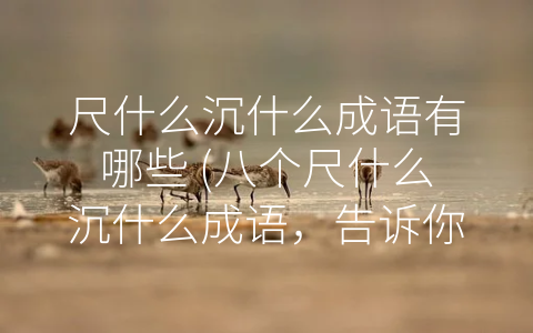 尺什么沉什么成语有哪些 (八个尺什么沉什么成语，告诉你消费的正确姿势)