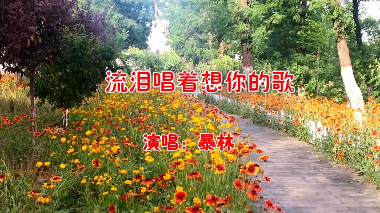 一句表达忧伤的句子 句句看了心疼 语句忧伤的句子