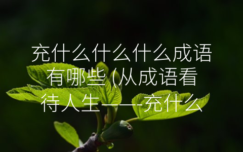 充什么什么什么成语有哪些 (从成语看待人生——-充什么什么什么”成语解析)