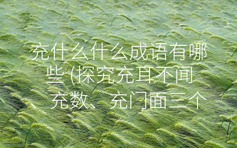 充什么什么成语有哪些 (探究充耳不闻、充数、充门面三个成语的文化内涵)