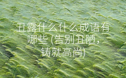 丑露什么什么成语有哪些 (告别丑陋，铸就高尚)