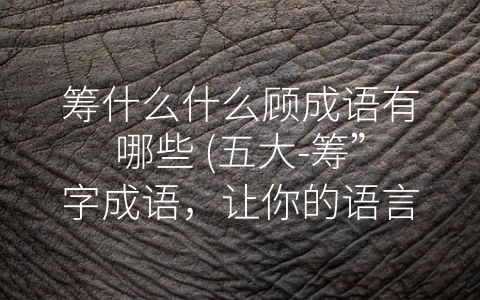 筹什么什么顾成语有哪些 (五大-筹”字成语，让你的语言更具魅力)