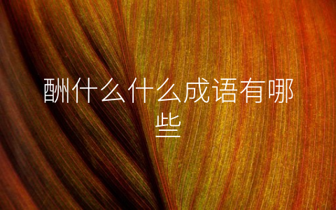 酬什么什么成语有哪些