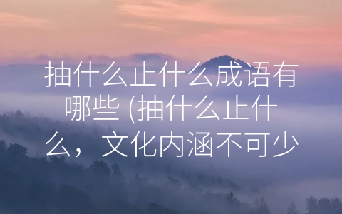 抽什么止什么成语有哪些 (抽什么止什么，文化内涵不可少)