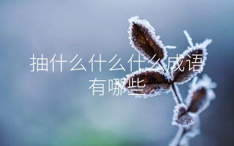 抽什么什么什么成语有哪些