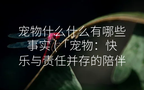 宠物什么什么有哪些事实 (「宠物：快乐与责任并存的陪伴」)