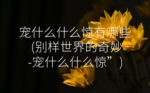宠什么什么惊有哪些 (别样世界的奇妙-宠什么什么惊”)