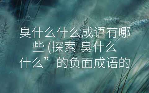 臭什么什么成语有哪些 (探索-臭什么什么”的负面成语的含义和教训)