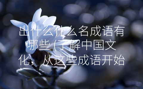 出什么什么名成语有哪些 (了解中国文化，从这些成语开始)