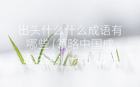 出头什么什么成语有哪些 (领略中国成语之美：一览-出头什么什么”成语的精彩世界。)