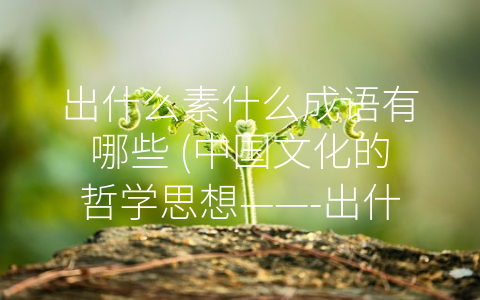 出什么素什么成语有哪些 (中国文化的哲学思想——-出什么素什么”的成语)