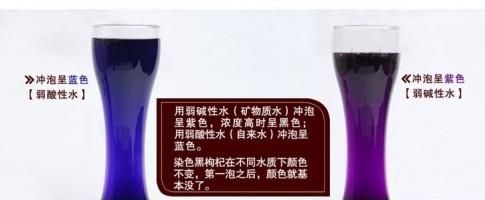 为什么黑枸杞泡水会掉色