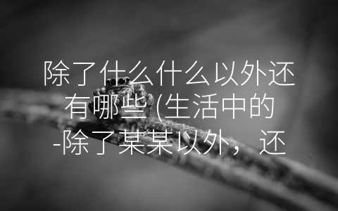 除了什么什么以外还有哪些 (生活中的-除了某某以外，还有…”：多元化关注，拥抱更美好的人生。)