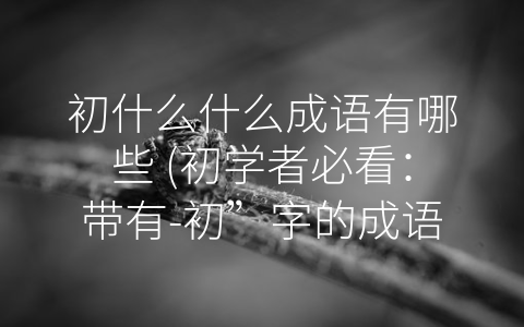 初什么什么成语有哪些 (初学者必看：带有-初”字的成语大剖析)
