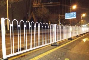 刘翔跨越护栏图片