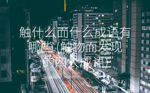 触什么而什么成语有哪些 (触物而发现的四大成语)