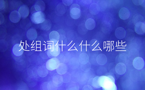 处组词什么什么哪些