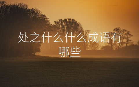 处之什么什么成语有哪些