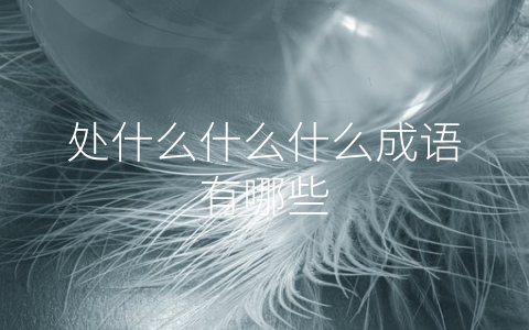 处什么什么什么成语有哪些