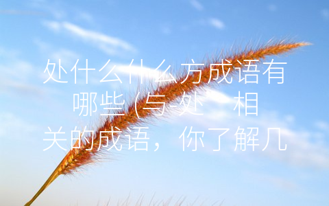 处什么什么方成语有哪些 (与-处”相关的成语，你了解几个？)