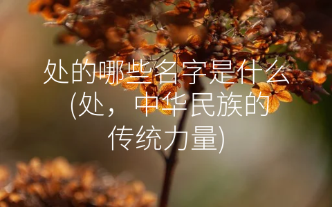 处的哪些名字是什么 (处，中华民族的传统力量)