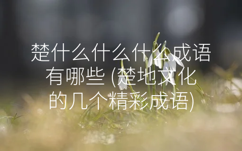 楚什么什么什么成语有哪些 (楚地文化的几个精彩成语)
