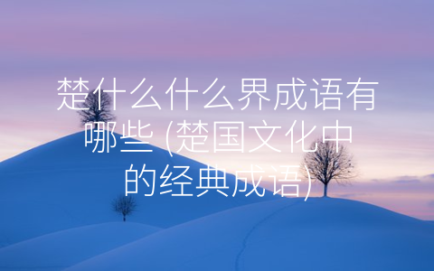 楚什么什么界成语有哪些 (楚国文化中的经典成语)