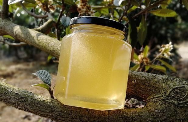 蜂蜜过期两年了还可以吃吗 蜂蜜过期两年还能吃吗