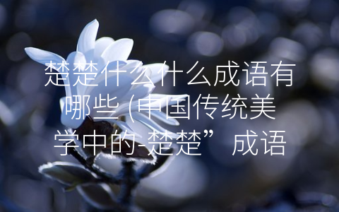 楚楚什么什么成语有哪些 (中国传统美学中的-楚楚”成语)