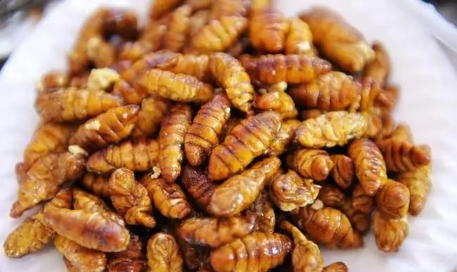 蚕蛹的营养价值为什么这么高 蚕蛹的营养价值和坏处