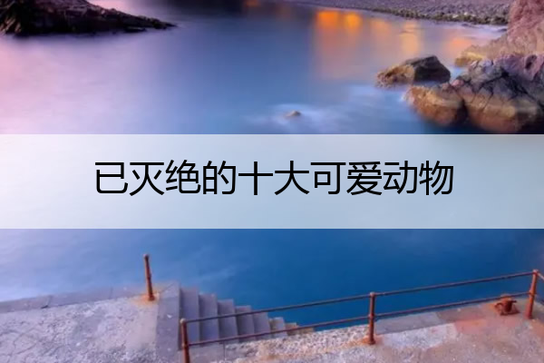 已灭绝的十大可爱动物 已灭绝的十大可爱动物牛龙图片