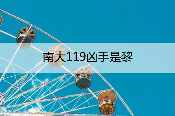 南大119凶手是黎 南大119案件图片