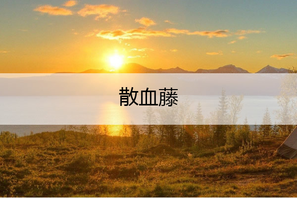 散血藤 散血藤生长在什么环境