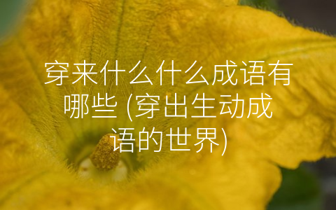 穿来什么什么成语有哪些 (穿出生动成语的世界)