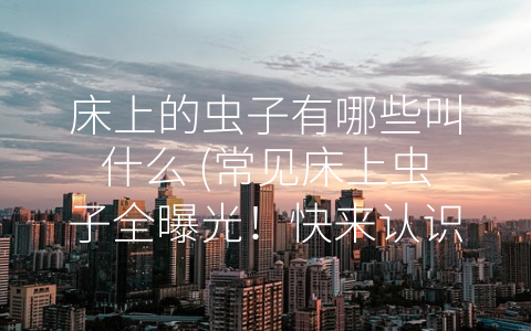 床上的虫子有哪些叫什么 (常见床上虫子全曝光！快来认识一下，让你远离瘙痒困扰！)