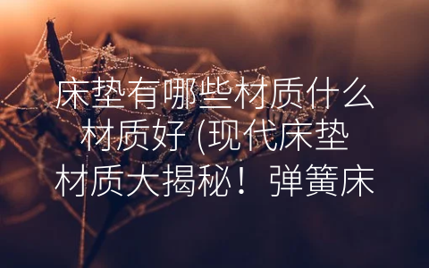 床垫有哪些材质什么材质好 (现代床垫材质大揭秘！弹簧床垫和记忆棉床垫最受欢迎！)