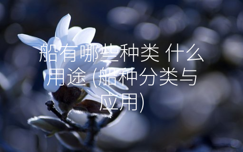 船有哪些种类 什么用途 (船种分类与应用)