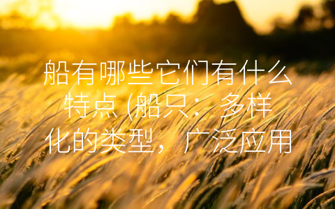船有哪些它们有什么特点 (船只：多样化的类型，广泛应用于全球经济与旅游)
