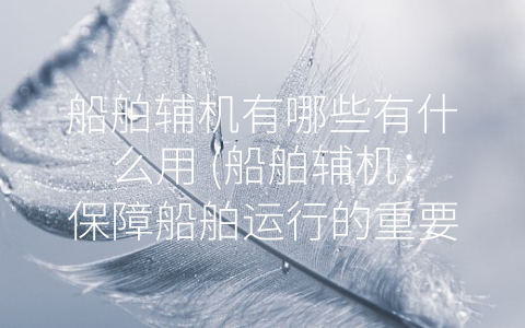 船舶辅机有哪些有什么用 (船舶辅机：保障船舶运行的重要后盾)