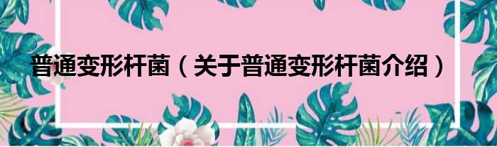 普通变形杆菌 关于普通变形杆菌介绍